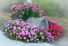 color11.jpg ID 191