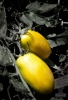 color12.jpg ID 192