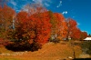 color13.jpg ID 193