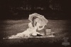 monochrome17.jpg ID 138