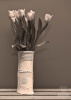 monochrome5.jpg ID 152