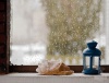 stilllife2.jpg ID 108